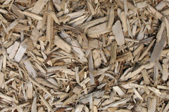biomass boilers Sandway